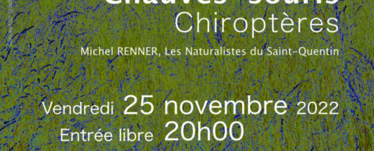 Conférence Chauves-souris