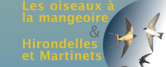 Exposition Les oiseaux à la mangeoire & Hirondelles et Martinets