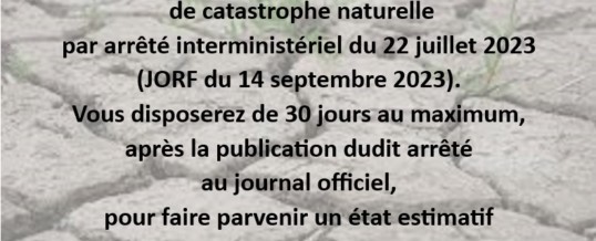 État de catastrophe naturelle