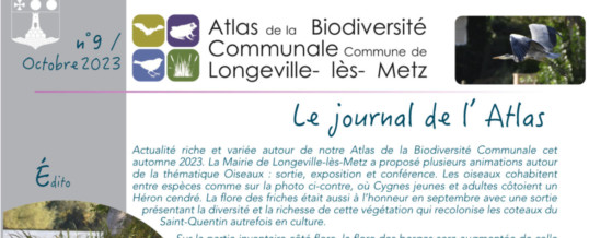 Journal de l’Atlas – octobre 2023