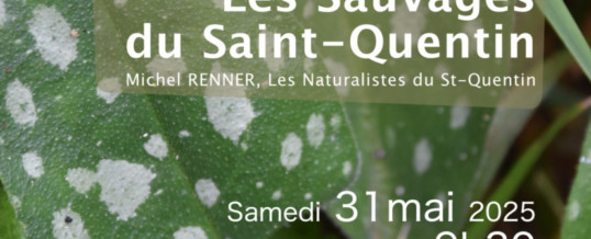 Sortie – Les Sauvages du Saint-Quentin