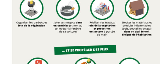 Prévention des feux de forêts : ayons les bons reflexes !